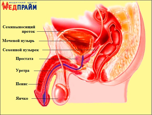 Урология Запорожье